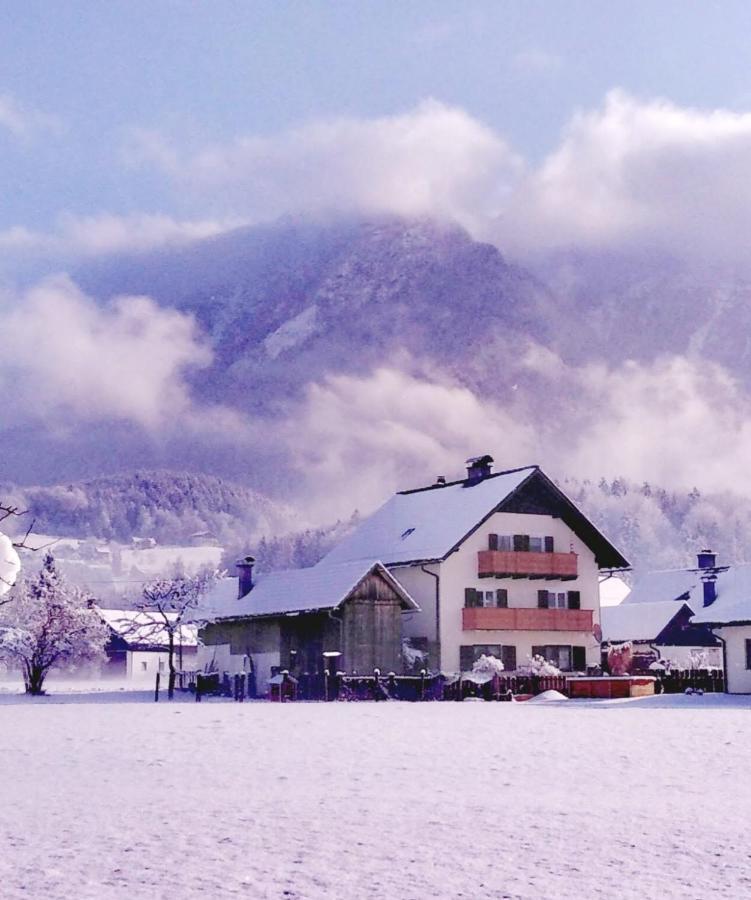 Haus Moni Lägenhet Bad Goisern Exteriör bild