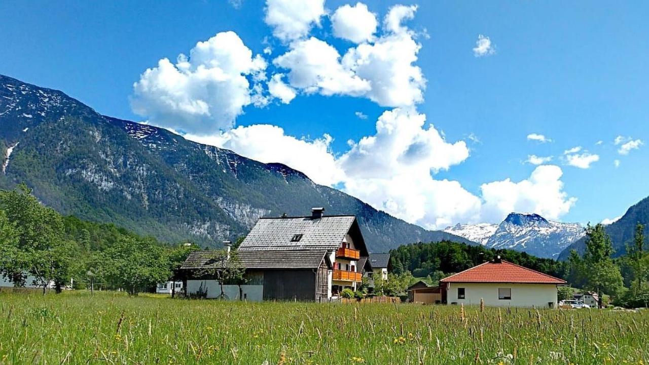 Haus Moni Lägenhet Bad Goisern Exteriör bild